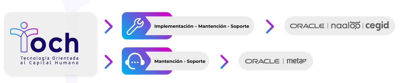 clasificacion productos