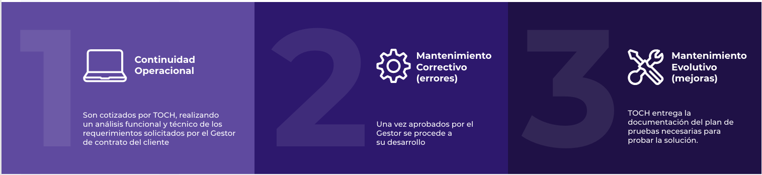 Soporte y mantención